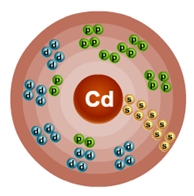 Схематическое строение атома кадмия