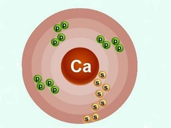 Какова биологическая роль и характеристика химического элемента кальция